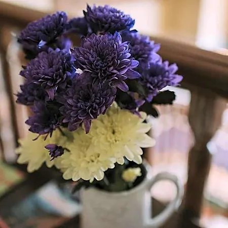 Royal Valentia فندق 3*